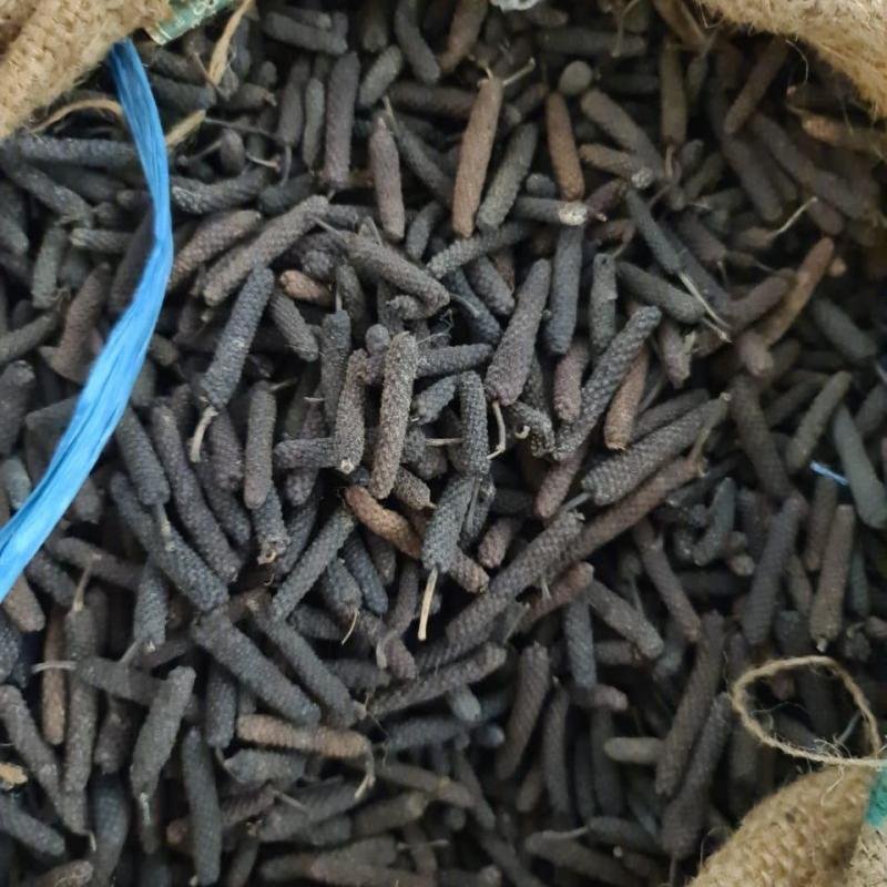 Javanese Long Pepper