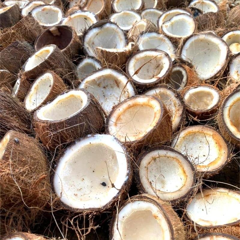 Copra Coconut Premium