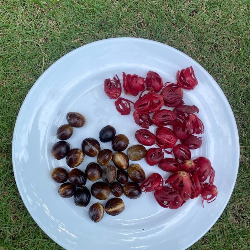 Nutmeg & Mace Premium