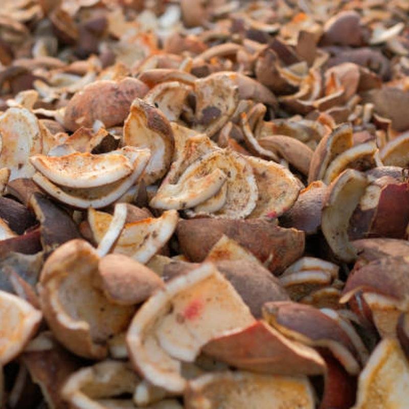 Copra Coconut Premium