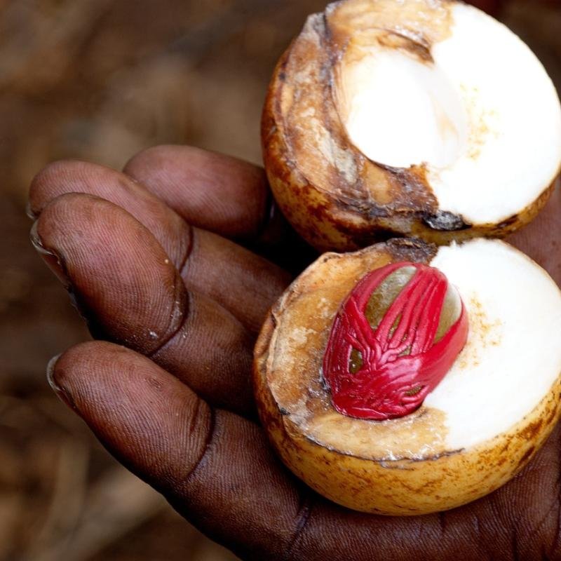 Nutmeg & Mace Premium