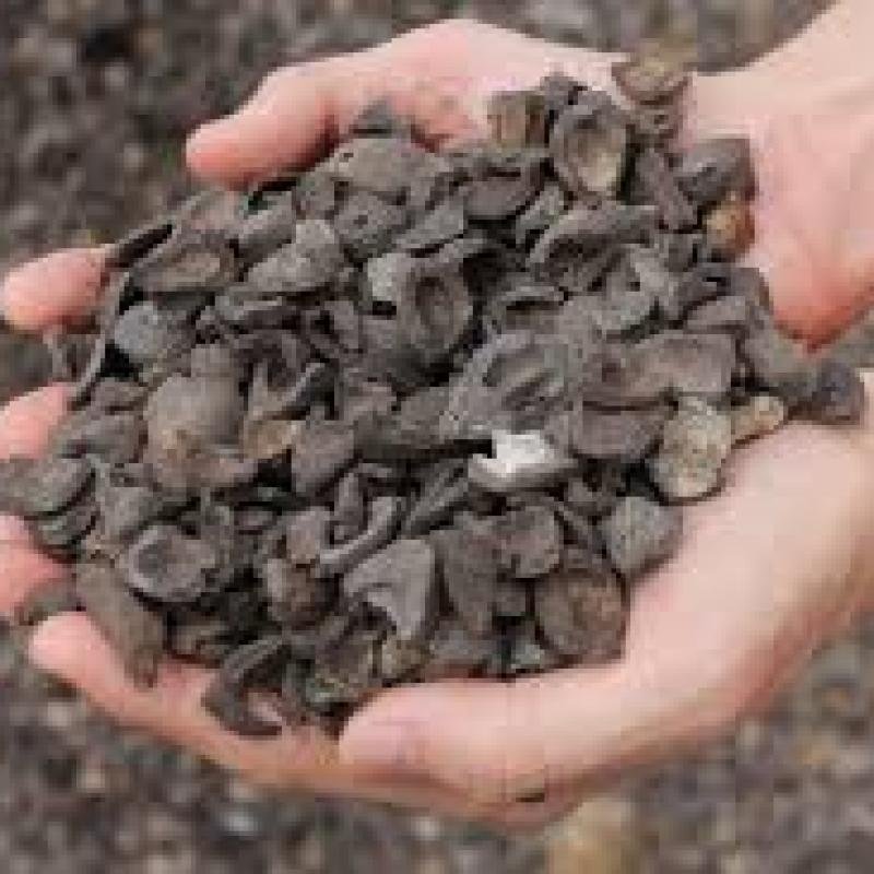 Palm Kernel Shell